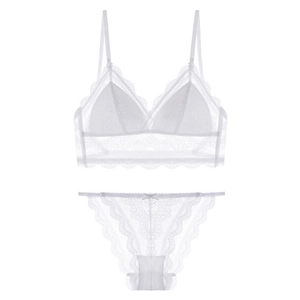 Elegant white lace lingerie set with triangle bra and matching panties in sheer floral mesh