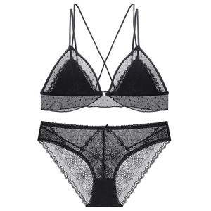 French style black lace triangle bra set with transparent polka dot mesh and matching panties
