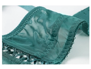 Detailed macro view of dark green lace bra with sheer mesh and woven ribbon accents