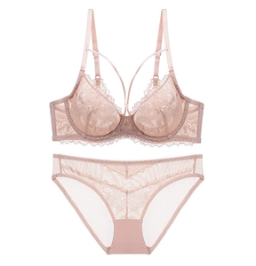 Close-up of thin lace bra and mesh panties set with intricate floral embroidery in mauve