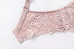 Detail of pink floral lace wings and adjustable shoulder straps on a sheer mesh bra
