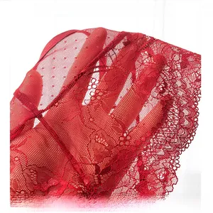 Detailed close-up of red floral lace and mesh texture with transparent polka dot pattern