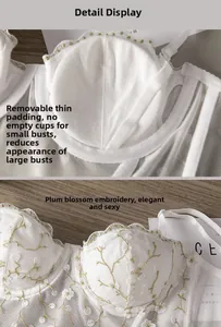Detail view of white mesh lace bra featuring gold plum blossom embroidery and removable pads