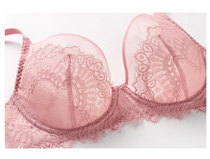 Détail de la dentelle florale rose et du tulle transparent sur le soutien-gorge