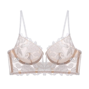 French style sheer lace bra with floral embroidery and deep V-neck wire support
