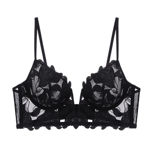 Detailed embroidery on sheer black lace bra with deep V-shaped metal structure