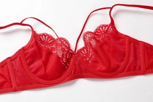 Detail of red floral lace embroidery and scalloped edges on a sheer breathable bra