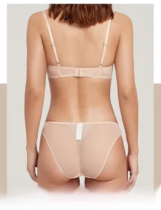 Detailed back view of a sheer lace lingerie set in nude color with mesh textures