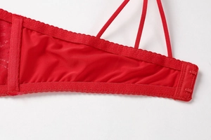 Detail of red lace bra featuring scalloped trim and two-row hook-and-eye closure design