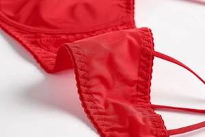 Detailed close-up of red satin and lace stitching on a sexy lingerie bra set
