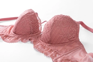Détail d'un soutien-gorge en dentelle rose avec ailes en mesh et broderie florale