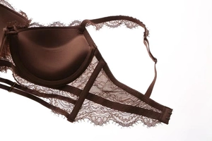 Detail of eyelash lace edge and semi-transparent mesh wings on brown bra set