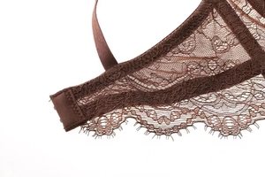 Macro detail of dark brown floral lace embroidery and eyelash trim on bra wing