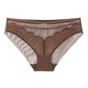 Detail view of brown lace panties featuring sheer mesh and decorative gold metal rings