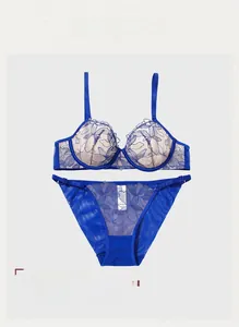 Detail of royal blue lace bra set with floral embroidery and sheer mesh texture