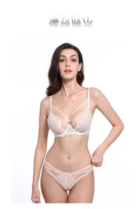 Detailed view of white floral lace embroidery on sheer French style lingerie set