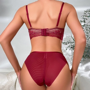 Completo intimo in pizzo rosso scuro con reggiseno push-up e slip in mesh trasparente