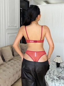 Detail of red sheer mesh lingerie set with pineapple embroidery and thin straps