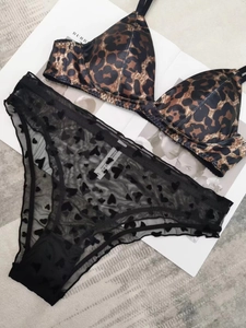 Detail van transparante hartjes-mesh slip en satijnen beha met luipaardprint