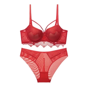 Detailed view of red lace lingerie set featuring intricate floral patterns and mesh trim