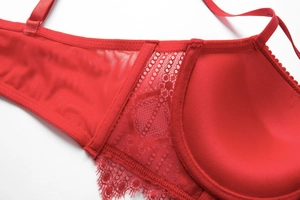 Detail of red floral lace embroidery and sheer mesh side wings on a push-up bra