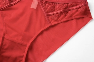 Detailed view of red floral lace and semi-transparent mesh on low-rise panties
