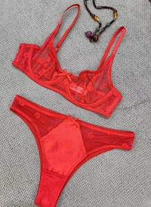 Detail view of red floral embroidery and sheer mesh on sexy lace lingerie set