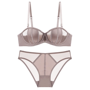 French Style Minimizer Lingerie Set For Women Seamless Mesh Splicing Polyamide Satin Look Bra And Panties Top And Bottom