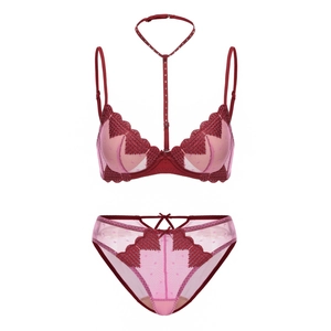 French style sheer mesh bra set with red heart embroidery and halter neck strap