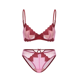 Detailed view of red heart embroidery and polka dot mesh on French style bra set