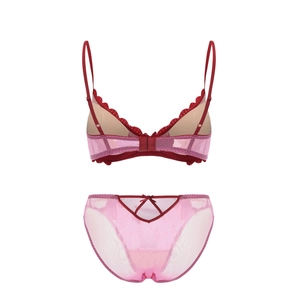 Detail of red lace lingerie set with heart embroidery and pink mesh bow knickers
