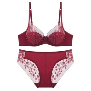 French Sexy Lace Embroidery Bra Top And Bottom For Women Breathable Thin Mold Cup Minimizing Underwire Lingerie Top And Bottom