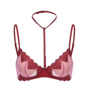Red French mesh bra with heart embroidery, scalloped edges and decorative choker neckband