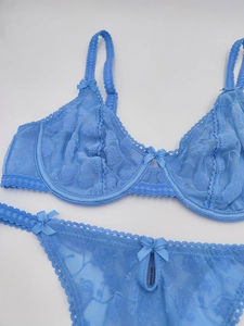 Detail eines hellblauen Lingerie-Sets aus floraler Spitze mit Schleifen und Bügeln