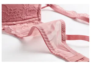Detailansicht eines rosa Spitzen-BHs mit Netzstoff und hochwertigen Näharbeiten
