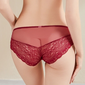 Vue arrière de culotte sexy en dentelle rouge avec maille transparente et coupe basse