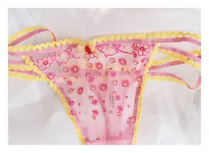 Dettaglio ricamo su mutandine di pizzo rosa con fiocco giallo e tessuto a rete