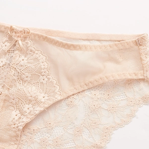 Sexy champagne lace panties for women featuring sheer mesh and floral embroidery detail