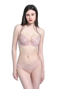 Detail of light pink floral embroidery and delicate lace on the sheer bra and panties