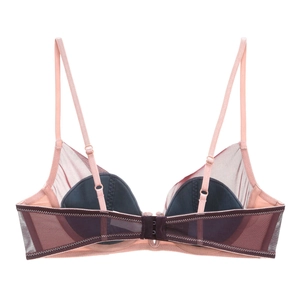 Detail of adjustable straps and sheer mesh back with hook-and-eye closure on lace bra
