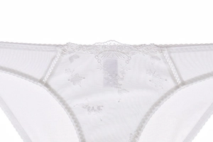 Detailed close-up of white floral lace embroidery on semi-transparent mesh underwear