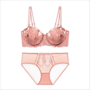 Pink lace lingerie set with floral embroidery bra and matching high waist mesh panties