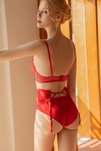 Detail view of red lace lingerie set featuring a sheer bra and matching garter belt panties