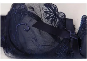 Detail of blue lace bra with floral embroidery and a satin bow on sheer mesh fabric