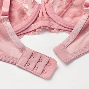 Pink sheer lace bra with three-row back hook closure and floral embroidery detail