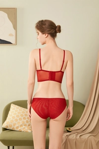 Detail view of red lace lingerie set featuring back clasp design and sheer mesh fabric