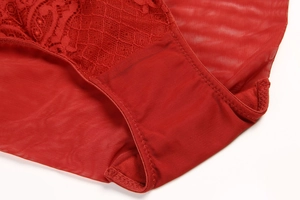 Detailed macro view of red French lace embroidery and sheer mesh texture on female lingerie