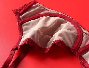 Detail of red lace bra featuring breathable nude mesh lining and reinforced stitching