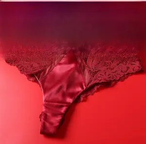 Detail of red floral lace thong with silk panels and side embroidery design
