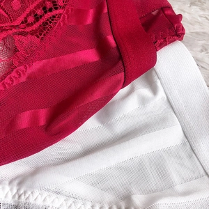 Detail view of sheer mesh fabric with lace trim and stripe patterns in red and white